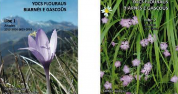 ESCRIUTS BIARNES DE GASCOUGNE