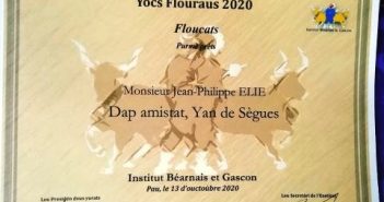 YOCS FLOURAUS DE 2020